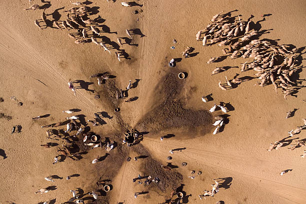 Aerial photographs of Herders giving their camels water from a well in desert in Chad, Northern Africa