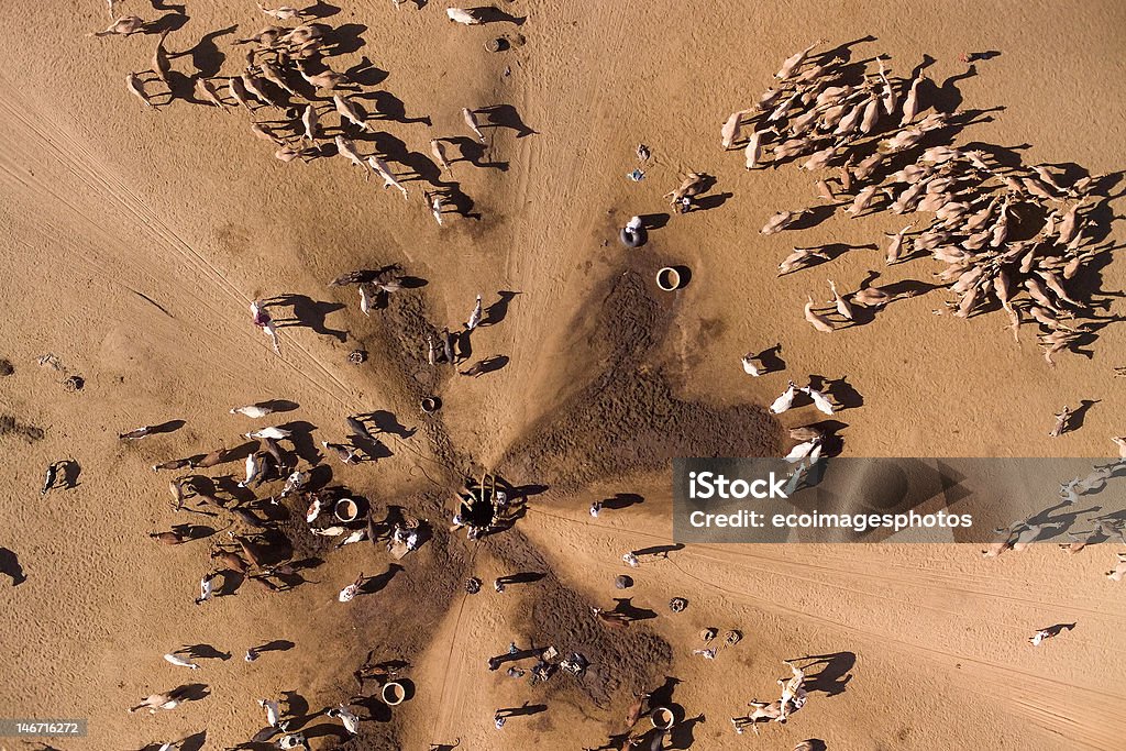 Herders giving their camels water from a well Aerial photographs of Herders giving their camels water from a well in desert in Chad, Northern Africa Chad - Central Africa Stock Photo