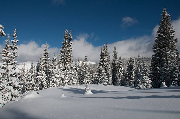 nívea escena en vial - vail colorado skiing snow fotografías e imágenes de stock