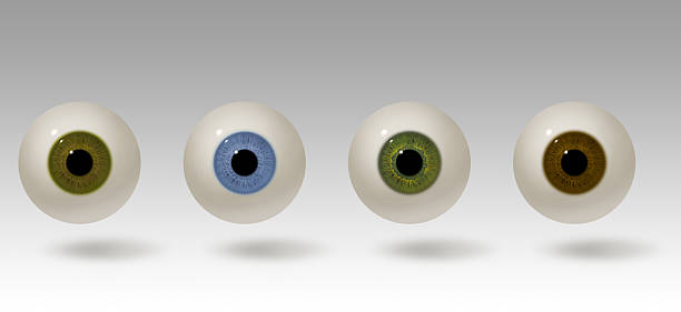 illustrazione realistica bulbo oculare - set blue brown green foto e immagini stock