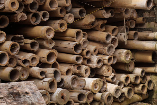 istock pile of used bamboo 1467170693