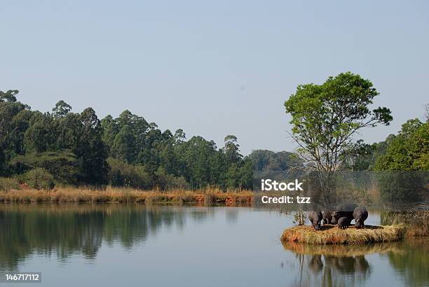 ヒポズ湖 - ムリルワネ自然保護区のストックフォトや画像を多数ご用意 - ムリルワネ自然保護区, エスワティニ, アフリカ