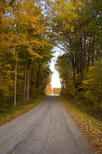 De otoño Road - foto de stock