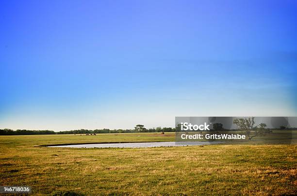 Paesaggio Cielo Blu - Fotografie stock e altre immagini di Agricoltura - Agricoltura, Ambientazione esterna, Ampio