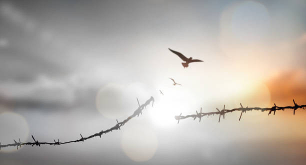 istock Barrier wire fence refugees Twilight sky 1467188271