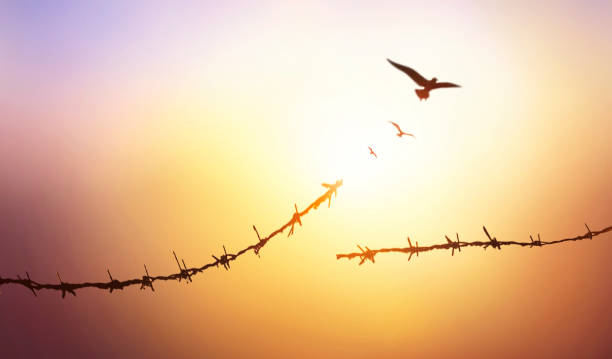 istock Barrier wire fence refugees Twilight sky 1467188296
