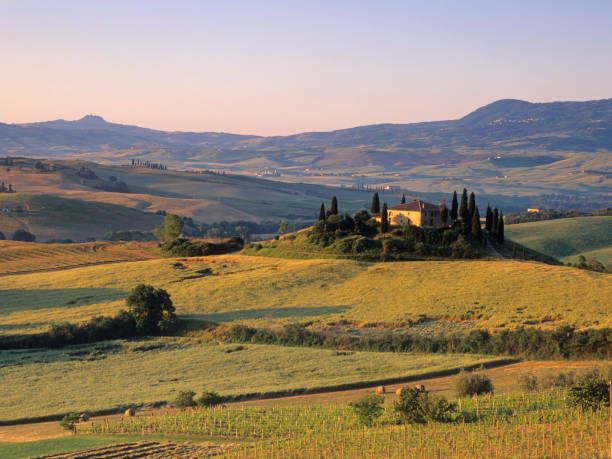 istock Tuscan landscape at dawn 146718871
