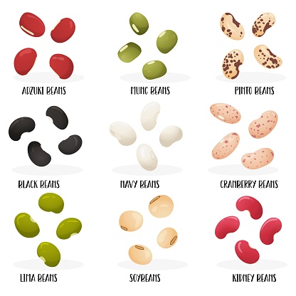 Big set of beans. Flat hand drawn style. Image with name of varieties. Adzuki, Mung, Pinto, Black, Navy, Cranberry, Lima, Soybeans, Kidney. Isolated on a white background.