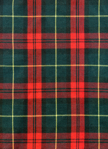 Close-up of traditional scottish checked material