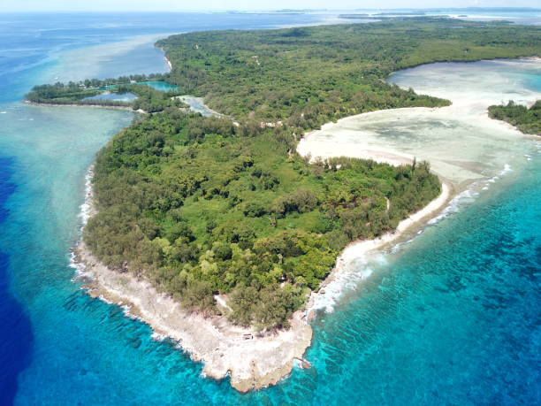 Peleliu (or Beliliou) is an island in the island nation of Palau. Peleliu, along with two small islands to its northeast, forms one of the sixteen states of Palau. The island is notable as the location of the Battle of Peleliu in World War II. peleliu (o beliliou) es una isla en la nación insular de palau. peleliu, junto con dos pequeñas islas al noreste, forma uno de los dieciséis estados de palaos. la isla es notable como la ubicación de la batalla de peleliu en la segunda guerra mundial.