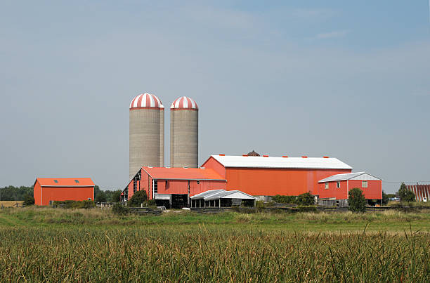 istock Orange farm buildings 146719552