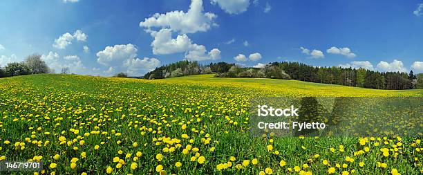 Beautiful View Of A Spring Meadow And The Blue Sky Above Stock Photo - Download Image Now