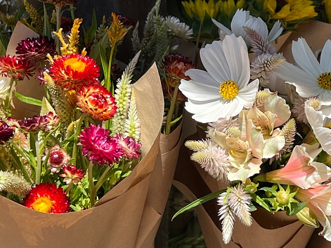 Horizontal high angle closeup photo of bunches of colourful flowers: Paper Daisies or Everlasting Daisies, white Amaranthus flowers and white Cosmos, wrapped in brown paper on display for sale at the Byron Bay Farmers Market in Summer.