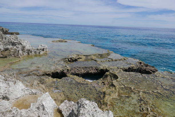 Peleliu (or Beliliou) is an island in the island nation of Palau. Peleliu, along with two small islands to its northeast, forms one of the sixteen states of Palau. The island is notable as the location of the Battle of Peleliu in World War II. peleliu (o beliliou) es una isla en la nación insular de palau. peleliu, junto con dos pequeñas islas al noreste, forma uno de los dieciséis estados de palaos. la isla es notable como la ubicación de la batalla de peleliu en la segunda guerra mundial.