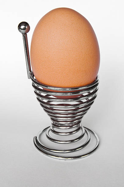 Egg stock photo