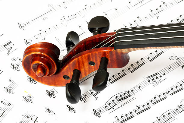 istock Detail of violin 146720985