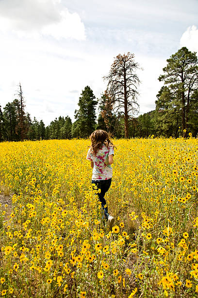 istock Girl Running Through Sunflowers 146721103