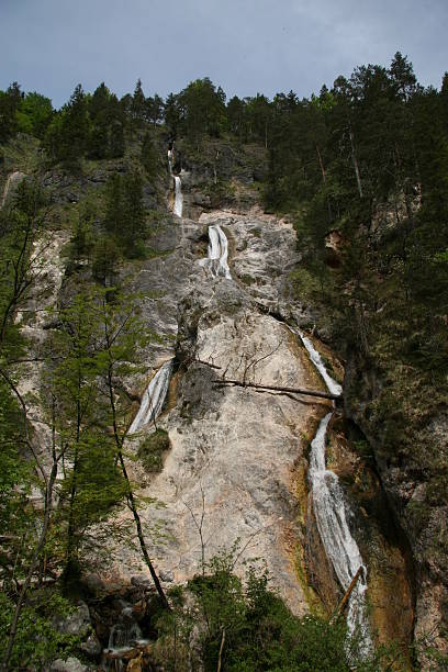 cascade - runnel photos et images de collection