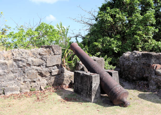 istock Antique Spanish cast iron cannons 1467213395