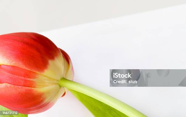 Invitación Foto de stock y más banco de imágenes de Flor - Flor, Fotografía - Imágenes, Horizontal