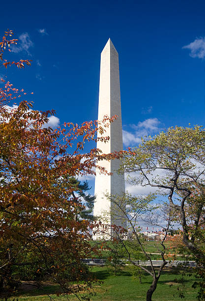 istock Washington Monument Autumn Framed Red Yellow Leaves Blue Sky 146721726