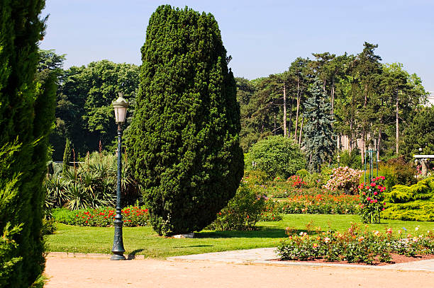 istock Morning at the Park 146722052