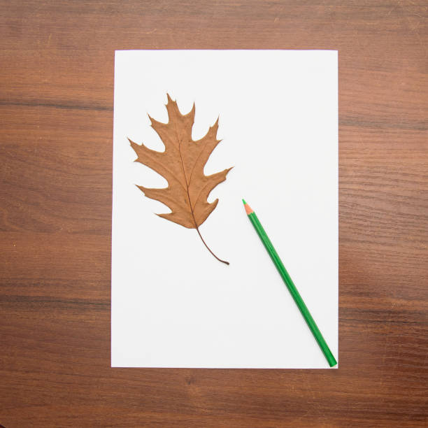 istock A beautiful pencil lies on a magical background 1467229493