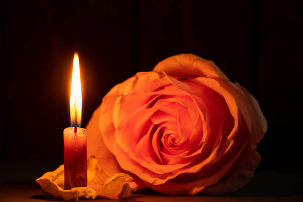 a candle flame and next to one rose in the dark close-up