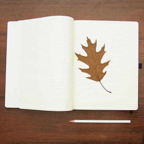 istock A beautiful pencil lies on a large notebook 1467231182