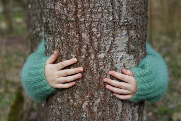 istock hands of a child are hugging tree trunk in spring forest 1467232903