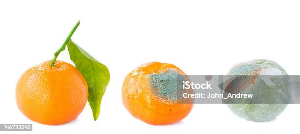 Photo libre de droit de Fruits De Mandarine En Direction De Bad De Moisissure banque d'images et plus d'images libres de droit de Pourrir