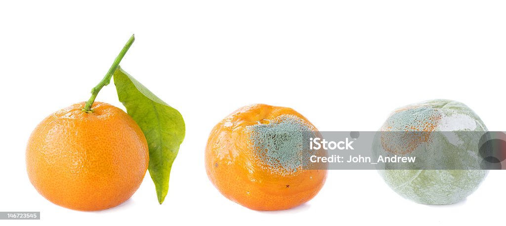 Frutta, mandarino, andando bad con stampi - Foto stock royalty-free di Marcio
