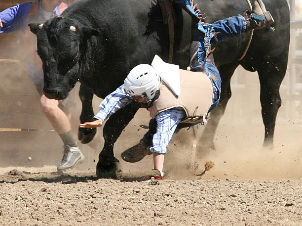 Fotografía Cowboy caer desde un Bucking Bull - foto de stock
