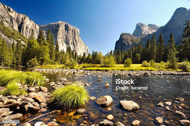 Yosemite Stock Photo - Download Image Now - Merced River, Yosemite National Park, Beauty In Nature