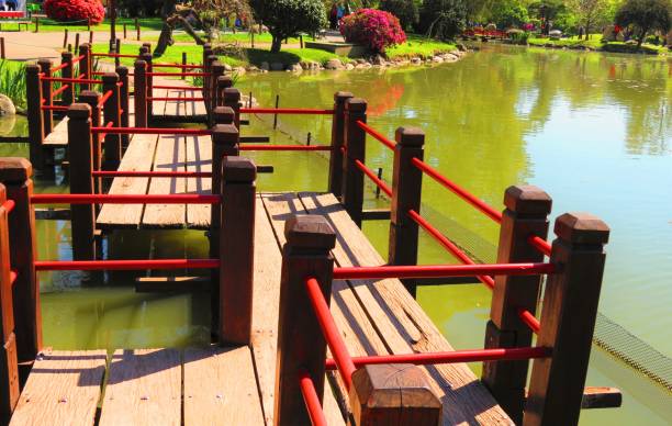 팔레르모 지구의 공공 공원에있는 지그재그 다리. - bridge wood japanese garden footbridge 뉴스 사진 이미지