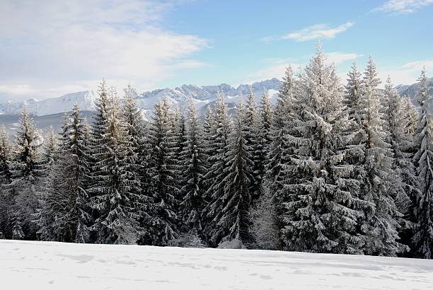 istock Winter in Zakopane 146724210