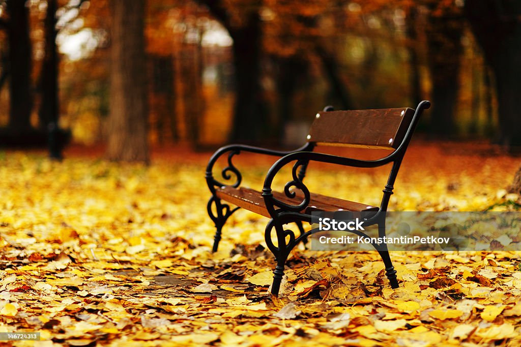 Bench in the park bench in the park autumn leaves Autumn Stock Photo