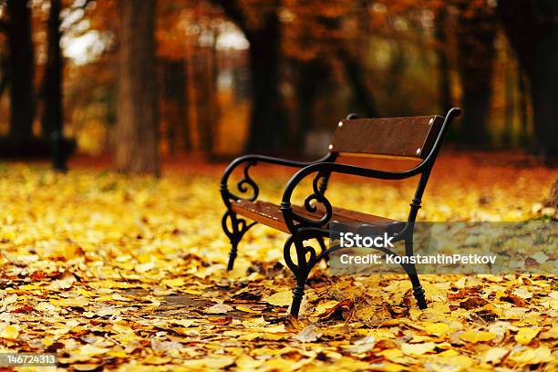 Bench In The Park Stock Photo - Download Image Now - Autumn, Backgrounds, Bench