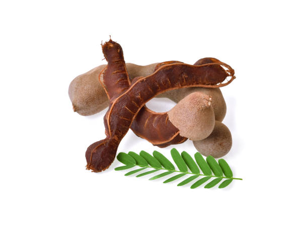 istock Sweet tamarind isolated on white background 1467243482