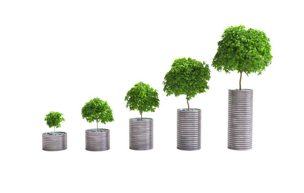 istock Stacks of coins arranged in a bar graph, Saving money concept with clipping path 1467245129