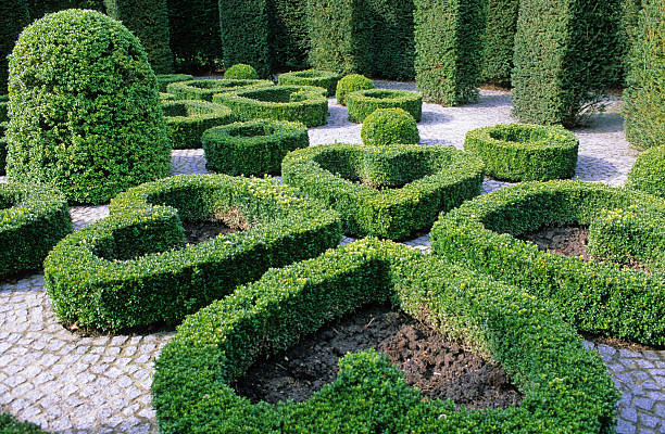 istock landscaped garden 146724579