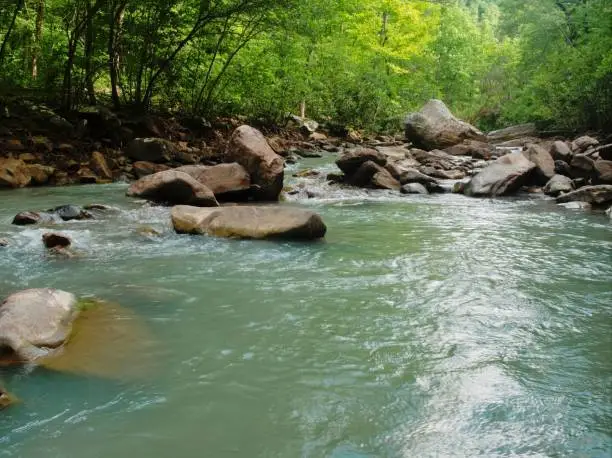 A person is jumping across a rocky mountain stream surrounded by lush green trees in the background
