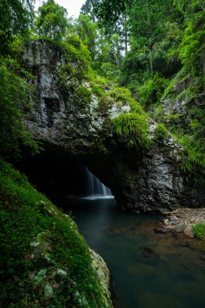 istock the water is running under the bridge in the forest area 1467246313