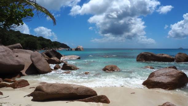 istock Scenic paradise beach shore views 1467246523