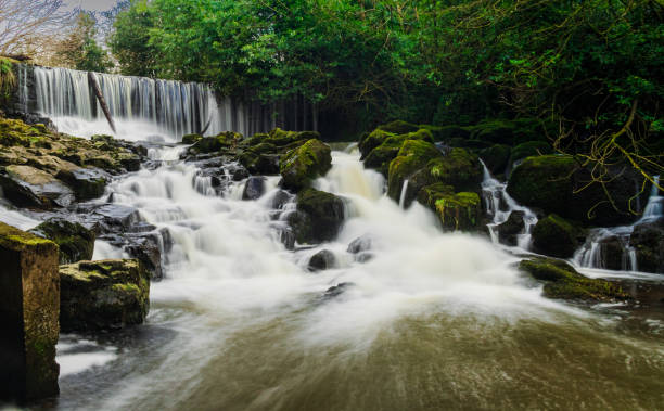 A mesmerizing view of the waterfall in the forest with dense greenery on a gloomy day