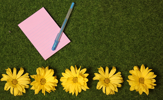 A top view of a blank notepaper with a pen on the grass with yellow flowers