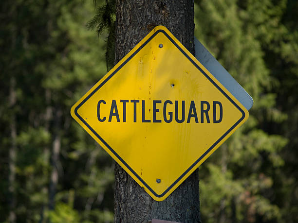 istock Yellow Cattleguard Sign. 146724946