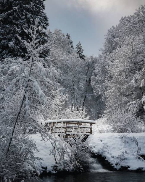 istock Bridge over a stream covered in snow by trees 1467249668