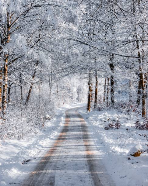 istock White winter landscape with a road through a fores 1467250354