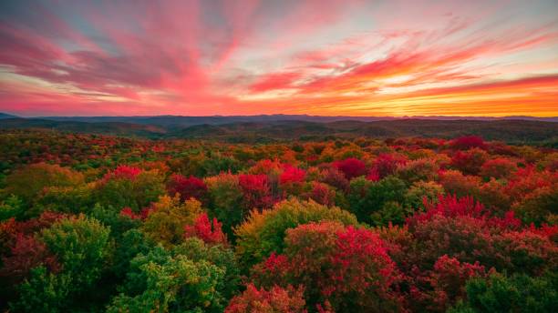 istock Gile Mountain Trailhead with Autumn foliage at sunset 1467251727